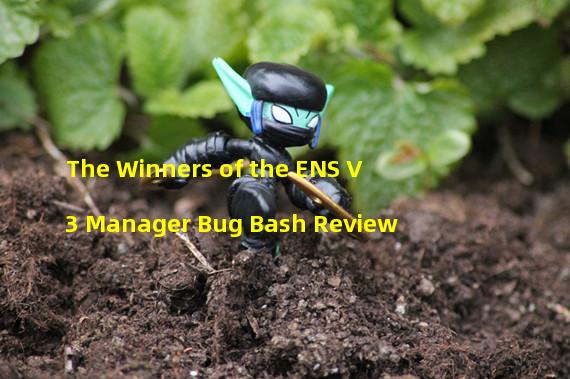 The Winners of the ENS V3 Manager Bug Bash Review 