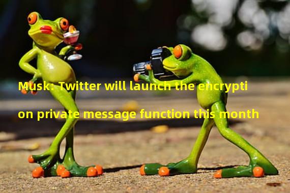 Musk: Twitter will launch the encryption private message function this month