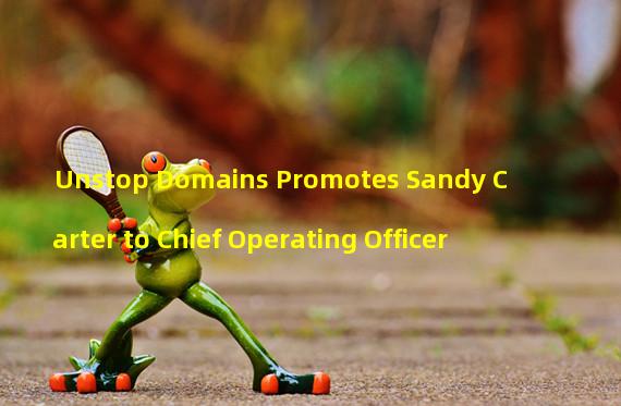 Unstop Domains Promotes Sandy Carter to Chief Operating Officer