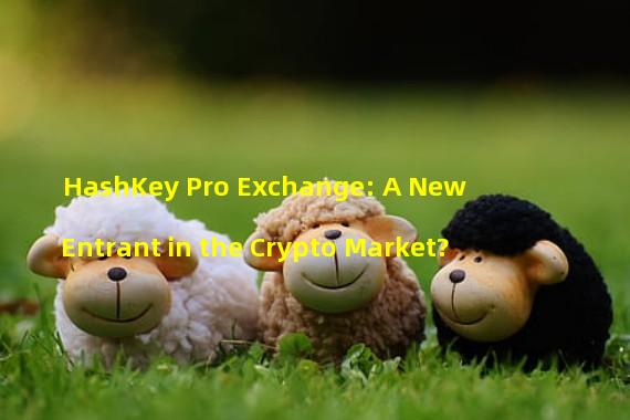 HashKey Pro Exchange: A New Entrant in the Crypto Market?