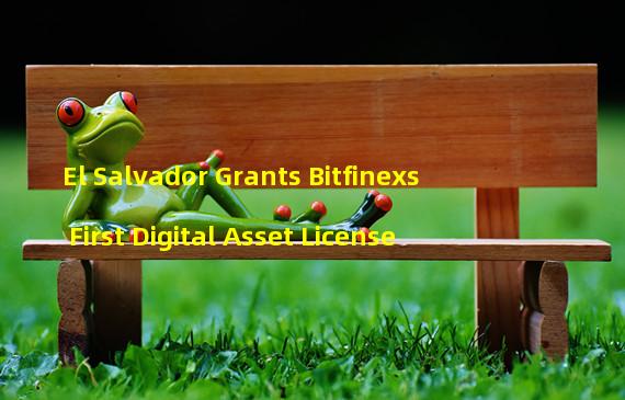 El Salvador Grants Bitfinexs First Digital Asset License