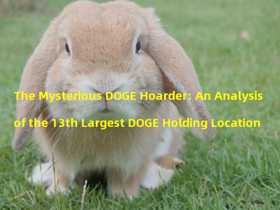The Mysterious DOGE Hoarder: An Analysis of the 13th Largest DOGE Holding Location