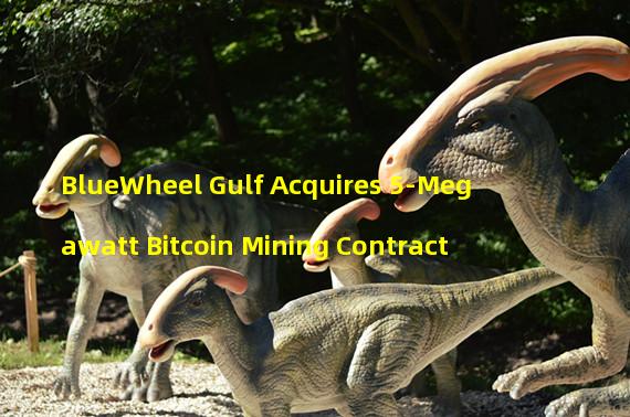BlueWheel Gulf Acquires 5-Megawatt Bitcoin Mining Contract