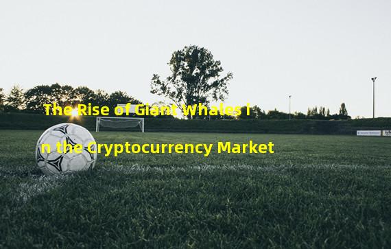 The Rise of Giant Whales in the Cryptocurrency Market