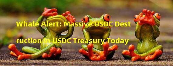 Whale Alert: Massive USDC Destruction in USDC Treasury Today