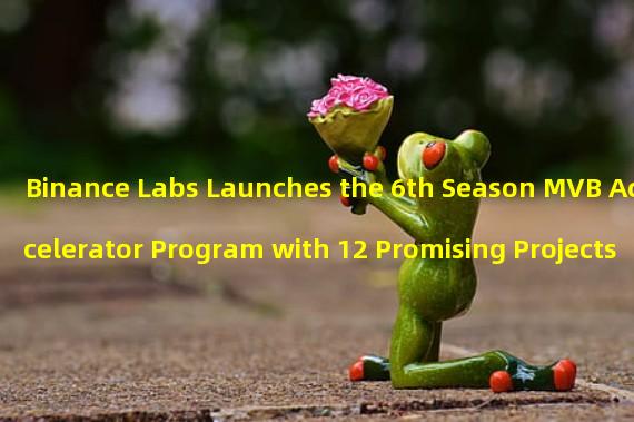 Binance Labs Launches the 6th Season MVB Accelerator Program with 12 Promising Projects
