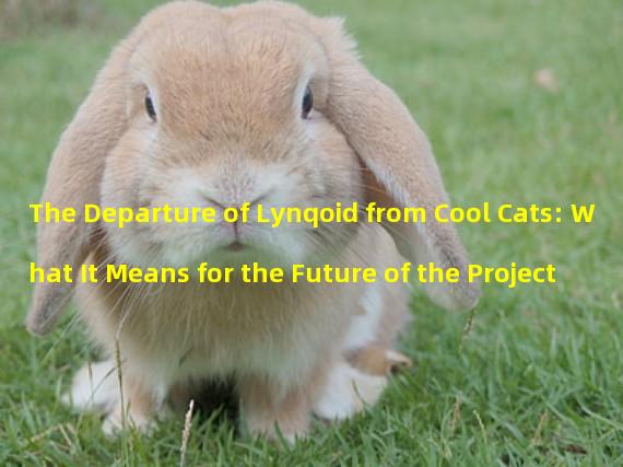The Departure of Lynqoid from Cool Cats: What It Means for the Future of the Project
