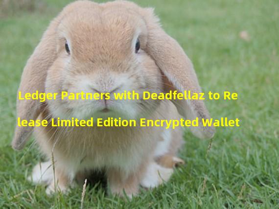 Ledger Partners with Deadfellaz to Release Limited Edition Encrypted Wallet