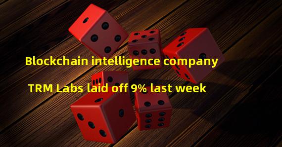 Blockchain intelligence company TRM Labs laid off 9% last week