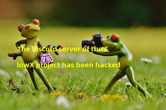 The Discord server of the FlowX project has been hacked