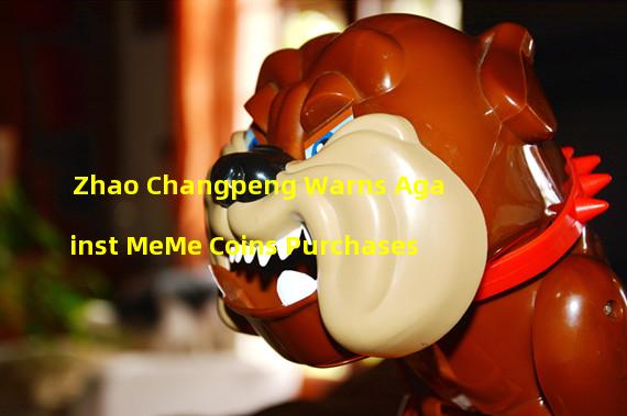 Zhao Changpeng Warns Against MeMe Coins Purchases