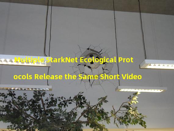 Multiple StarkNet Ecological Protocols Release the Same Short Video