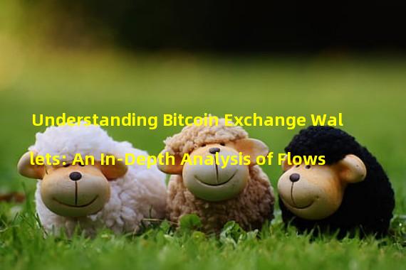 Understanding Bitcoin Exchange Wallets: An In-Depth Analysis of Flows