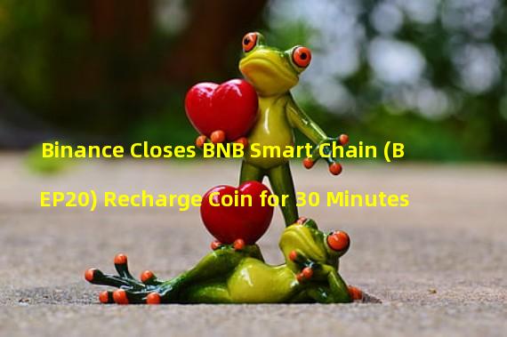 Binance Closes BNB Smart Chain (BEP20) Recharge Coin for 30 Minutes