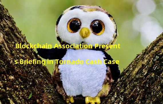Blockchain Association Presents Briefing in Tornado Cash Case