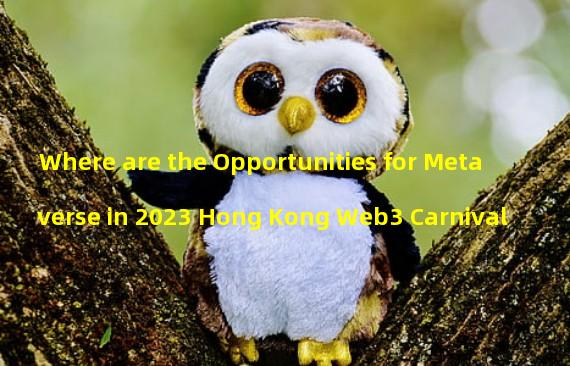 Where are the Opportunities for Metaverse in 2023 Hong Kong Web3 Carnival