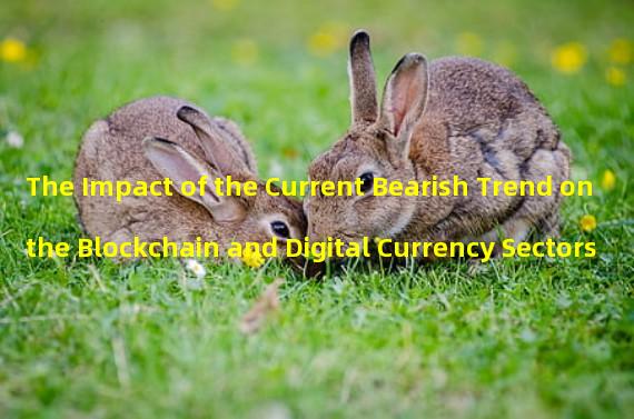 The Impact of the Current Bearish Trend on the Blockchain and Digital Currency Sectors