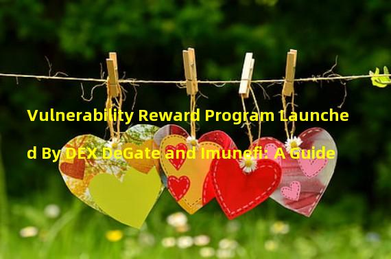 Vulnerability Reward Program Launched By DEX DeGate and Imunefi: A Guide