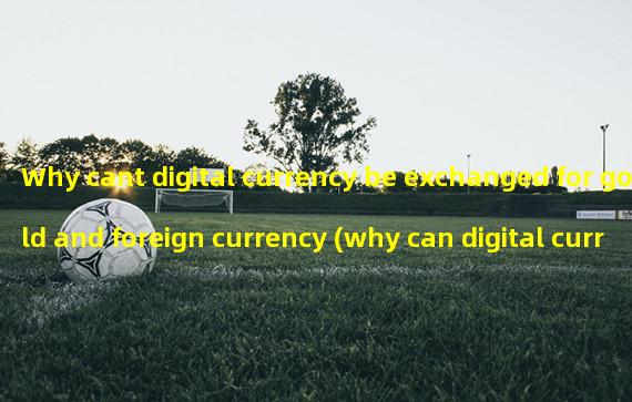 Why cant digital currency be exchanged for gold and foreign currency (why can digital currency bypass US dollar settlement)