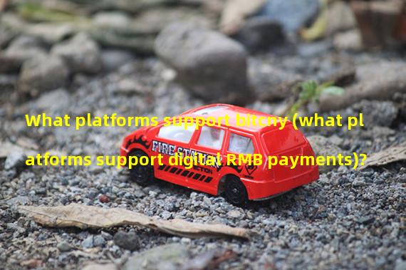 What platforms support bitcny (what platforms support digital RMB payments)?
