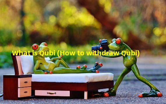 What is Qubi (How to withdraw Qubi)