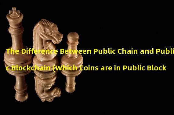 The Difference Between Public Chain and Public Blockchain (Which Coins are in Public Blockchain)