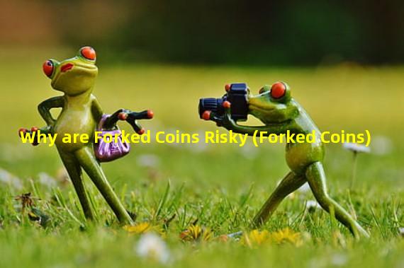 Why are Forked Coins Risky (Forked Coins)