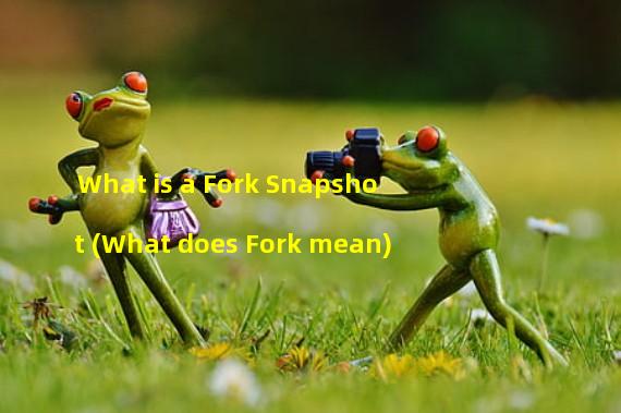 What is a Fork Snapshot (What does Fork mean)