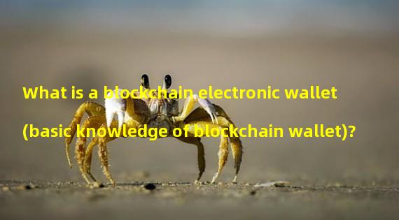 What is a blockchain electronic wallet (basic knowledge of blockchain wallet)? 