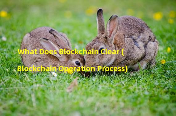 What Does Blockchain Clear (Blockchain Operation Process)