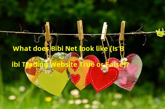 What does Bibi Net look like (Is Bibi Trading Website True or False)? 