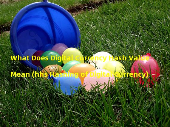 What Does Digital Currency Hash Value Mean (hhs Hashing of Digital Currency)