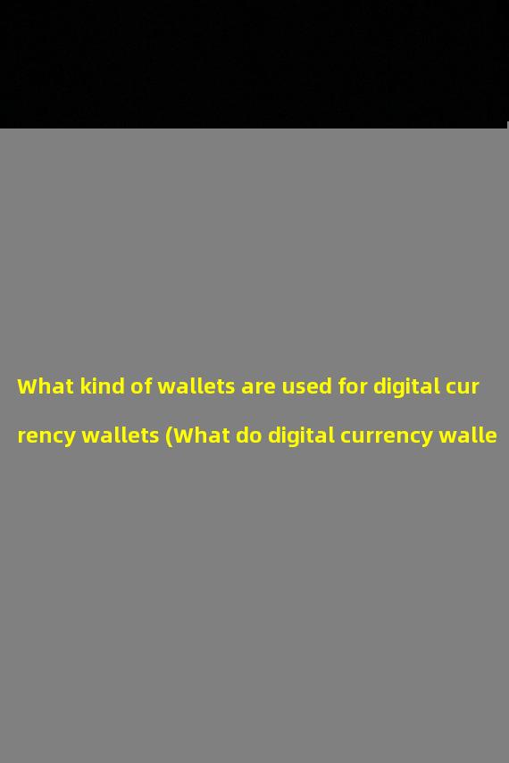 What kind of wallets are used for digital currency wallets (What do digital currency wallets look like)?