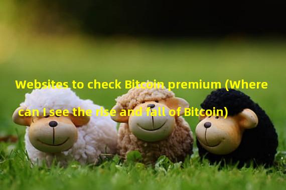 Websites to check Bitcoin premium (Where can I see the rise and fall of Bitcoin)
