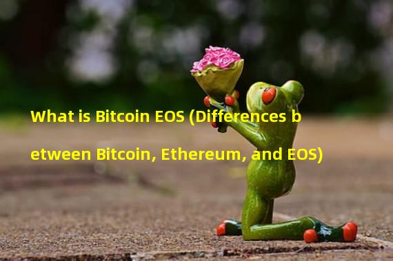 What is Bitcoin EOS (Differences between Bitcoin, Ethereum, and EOS)