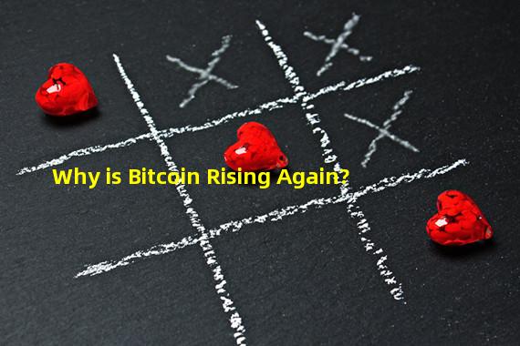 Why is Bitcoin Rising Again?