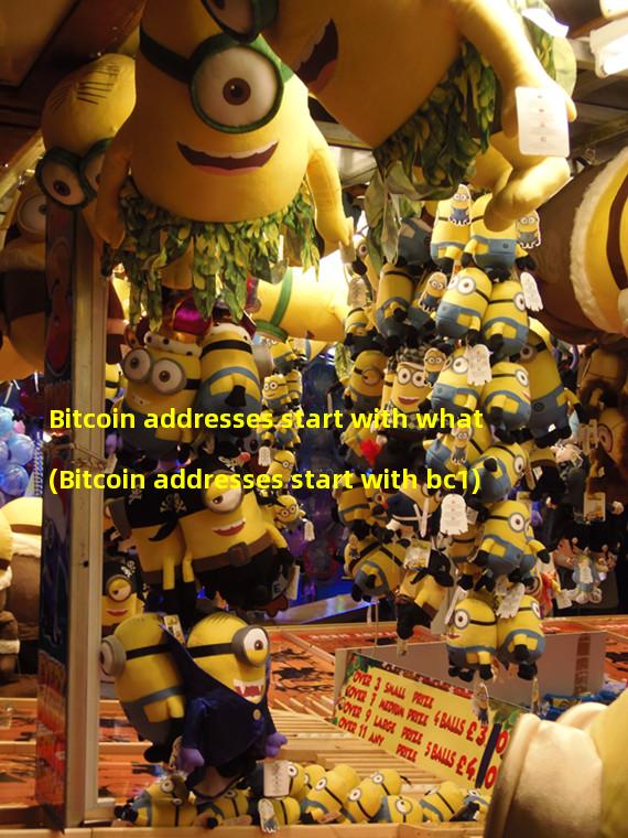 Bitcoin addresses start with what (Bitcoin addresses start with bc1)