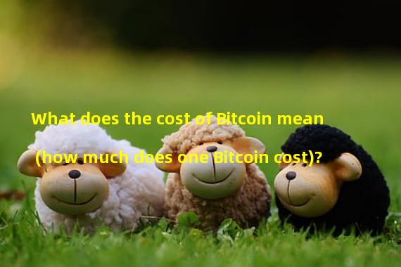 What does the cost of Bitcoin mean (how much does one Bitcoin cost)?