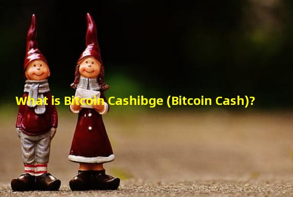 What is Bitcoin Cashibge (Bitcoin Cash)?