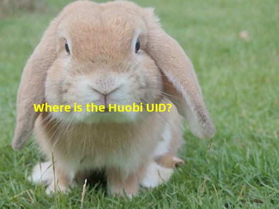 Where is the Huobi UID?