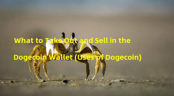 What to Take Out and Sell in the Dogecoin Wallet (Uses of Dogecoin)