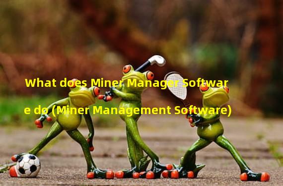What does Miner Manager Software do (Miner Management Software)