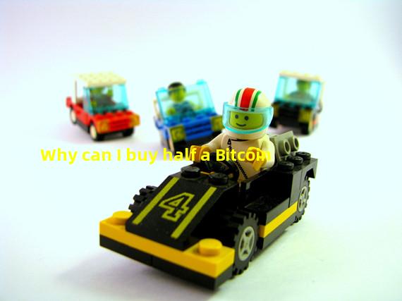 Why can I buy half a Bitcoin