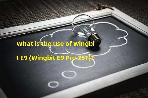 What is the use of Wingbit E9 (Wingbit E9 Pro 25T)?