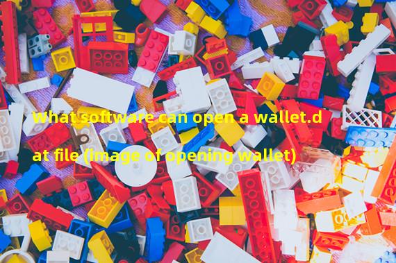 What software can open a wallet.dat file (image of opening wallet)