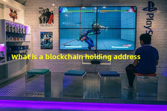What is a blockchain holding address