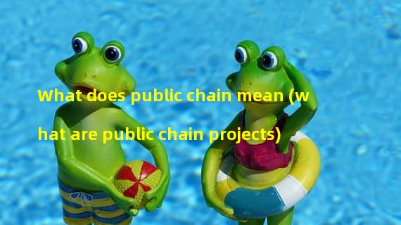 What does public chain mean (what are public chain projects)