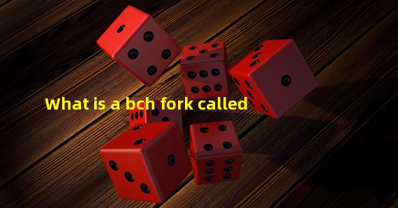 What is a bch fork called