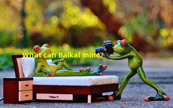 What can Baikal mine?