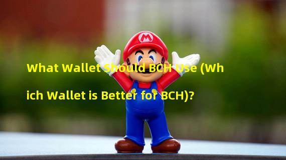 What Wallet Should BCH Use (Which Wallet is Better for BCH)?